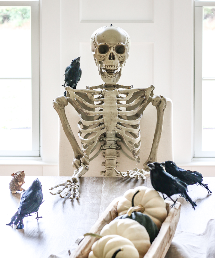 front view of skeleton sitting at dining room table with blackbirds, and black and white pumpkins