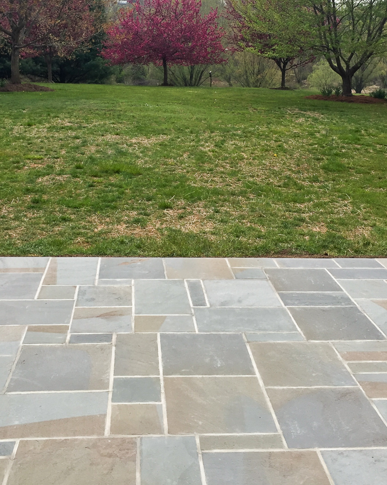 view of bluestone patio and adjoining yard leading to a tree line