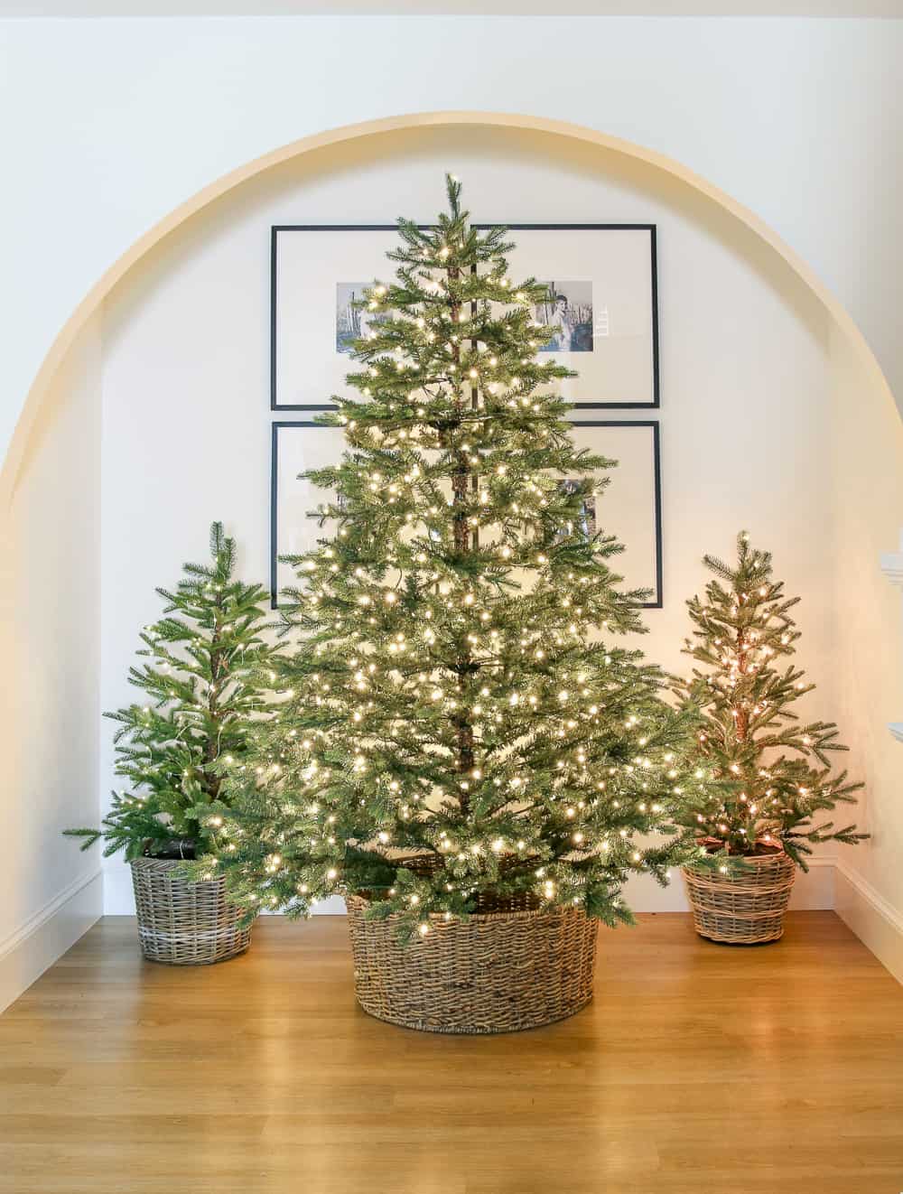 Artificial Christmas tree display in arched niche. Tall one in center and small ones on either side. All are in baskets and pre-lit but have no ornaments