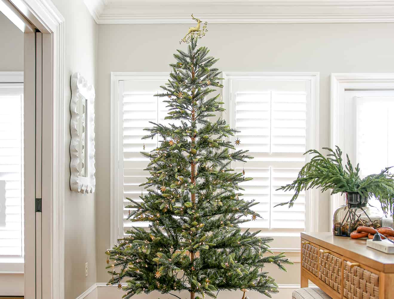 Sparse artificial tree in corner of living room with agreeable gray walls and interior window shutters, console table styled with Norfolk pine stems in a vase