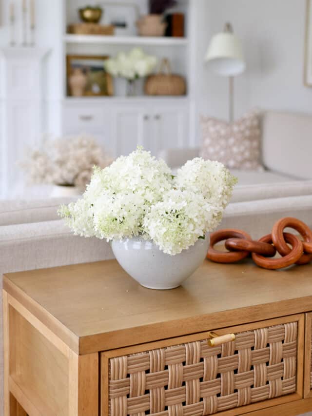 Behind the Couch Table Ideas for Your Living Room - Stefana Silber